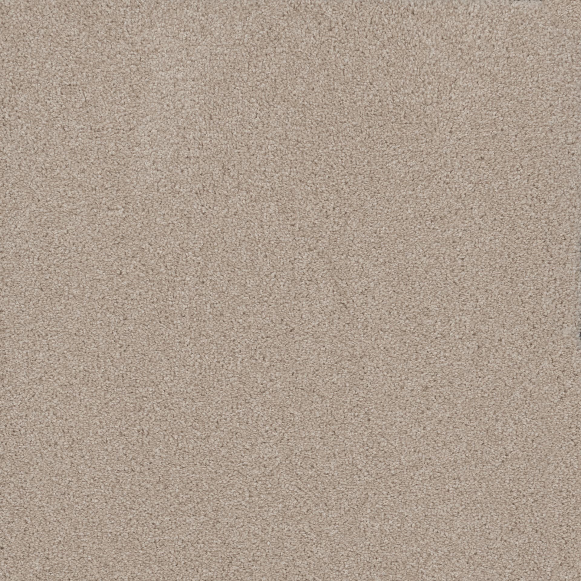 モーリー Microban® Polyester Magical Angelic MB126-711 | Phenix