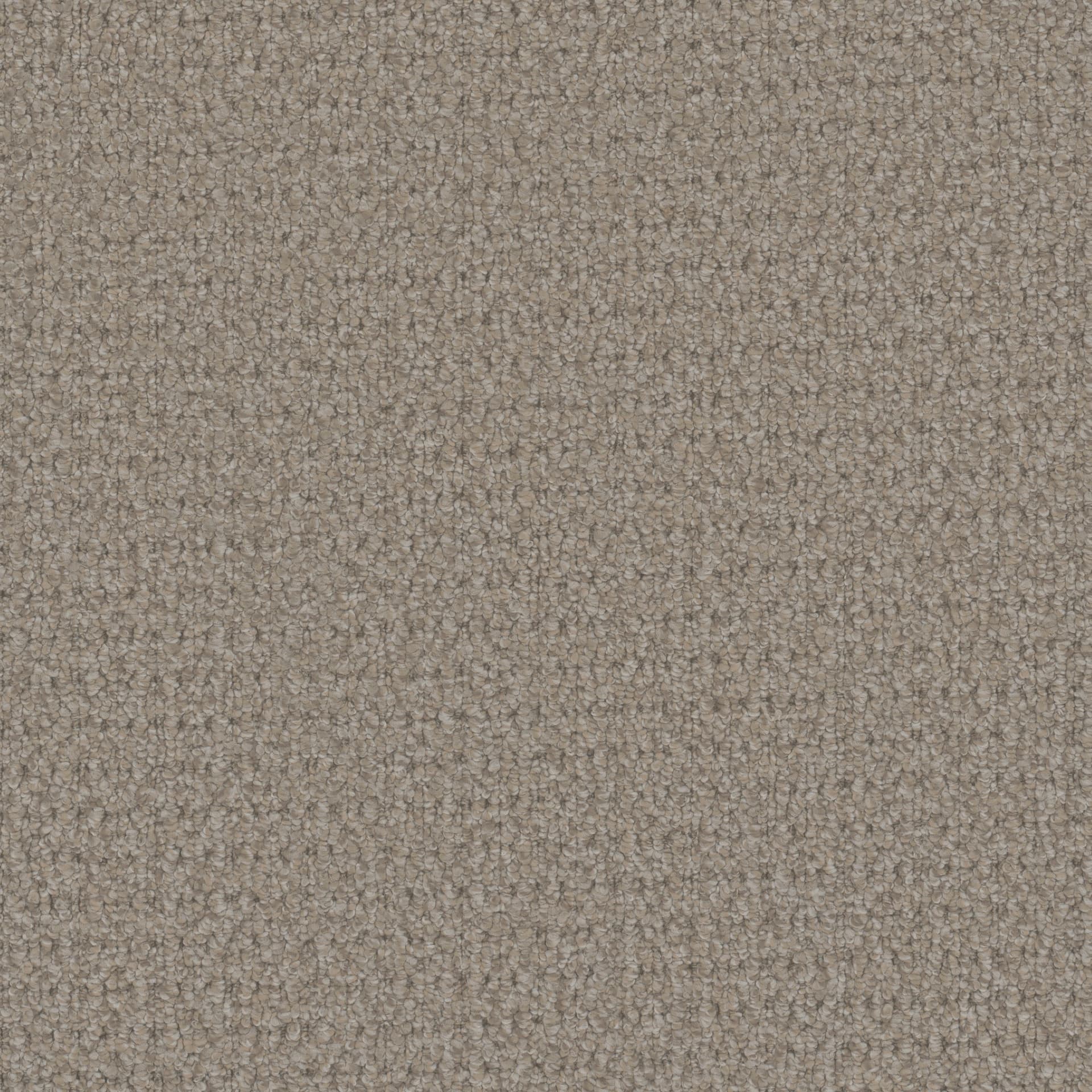 FloorEver™ PetPlus Cardigan Polar FP034-03406 | Phenix FloorEver™ PetPlus Cardigan Polar FP034-03406 | Phenix