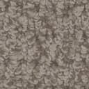 Wintry Mix Wintry Mix