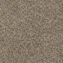 Amphitheater Amphitheater