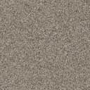 Metropolitan Metropolitan