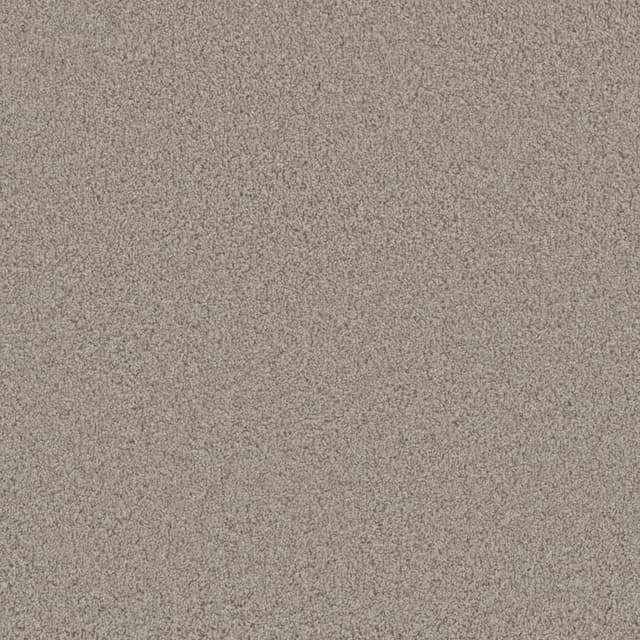 FloorEver™ PetPlus Luxe Ornate FP022-729