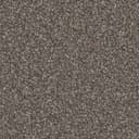 Tumbleweed Tumbleweed