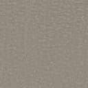 Razzle Dazzle Razzle Dazzle