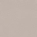 Cactus Flower Cactus Flower