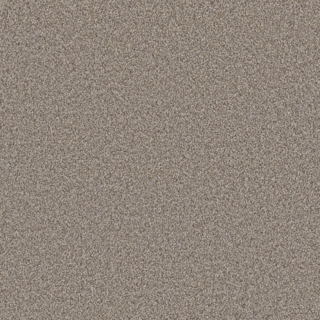 FloorEver™ PetPlus Vista Silver Field FP036-3506