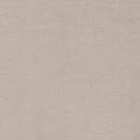 Sand Dollar Sand Dollar